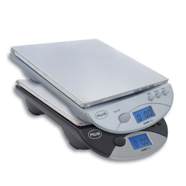 AWS AMW-13 PRECISION BENCH SCALE (6000G X 1G)
