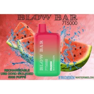 BLOW BAR 5% RECH. DISPO (120ML) 5K PUFFS 10CT/ BOX