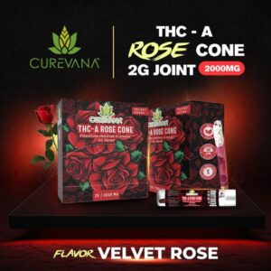 CUREVANA THC-A ROSE CONE 2GM JOINT 24CT/BOX