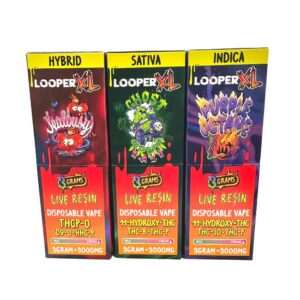 LOOPER XL LIVE RESIN 3GM DISPO 5CT/BOX