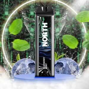 NORTH 10ML 5K PUFFS RECHARGEABLE DISPOSABLE 10CT/BOX
