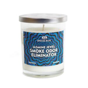 SPECIAL BLUE ODOR ELIMINATOR CANDLE 13OZ