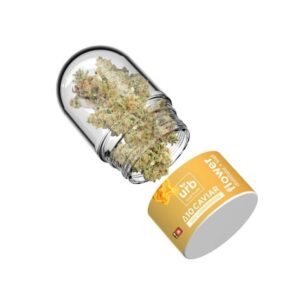 URB DELTA 10 THC CAVIAR FLOWER 7GM