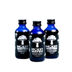 HOLY WATER EUPHORIC ENERGY MUSHROOM + NOOTROPIC 2OZ BOTANICAL EXTRACT TONIC 12CT/ BOX