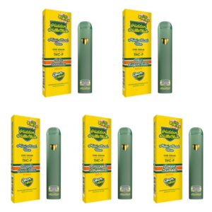 HIDDEN HILLS MINI MART THC-P LIVE RESIN 1GM DISPO 5CT/ BOX