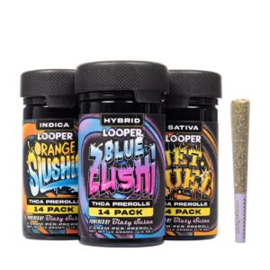 LOOPER POWERED BY BLAZY SUSAN THCA 1GM PRE ROLL JOINTS 14CT JAR 6PK/BOX